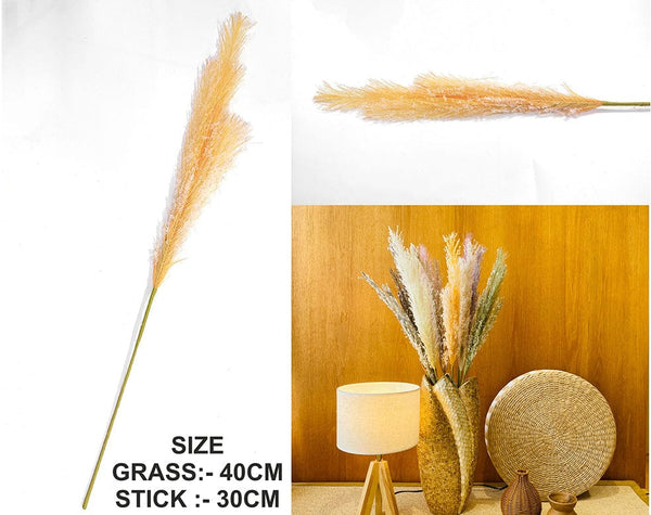 My Store GRASS ORANGE FATHER PAMPAS GRASS