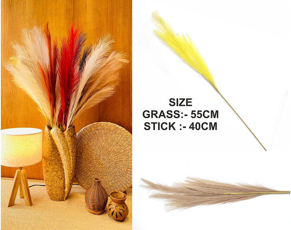 My Store GRASS BROWN PLAIN PAMPAS GRASS