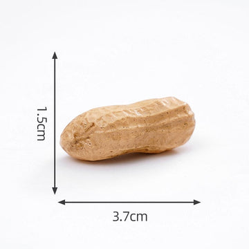 Crafteria Groundnut (4Pcs) Vegetable Miniature Series