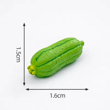 Crafteria Sponge Gourd (4Pcs) D111