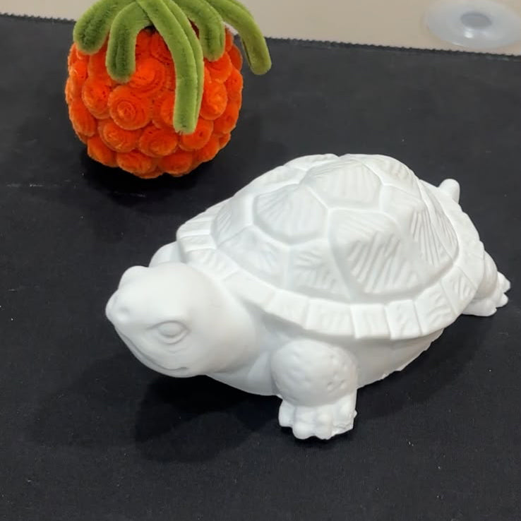 Big Turtle Mould