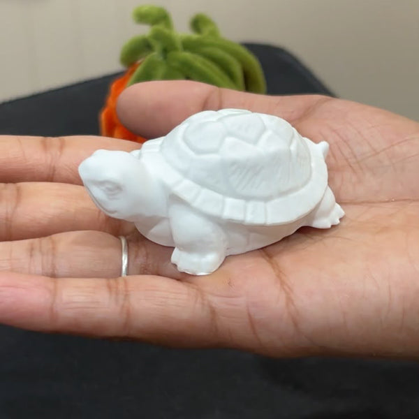 Small Turtle Mould