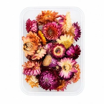 Multicolor Natural Dried Straw Flowers for DIY Crafts, Resin Art & Floral Decorations