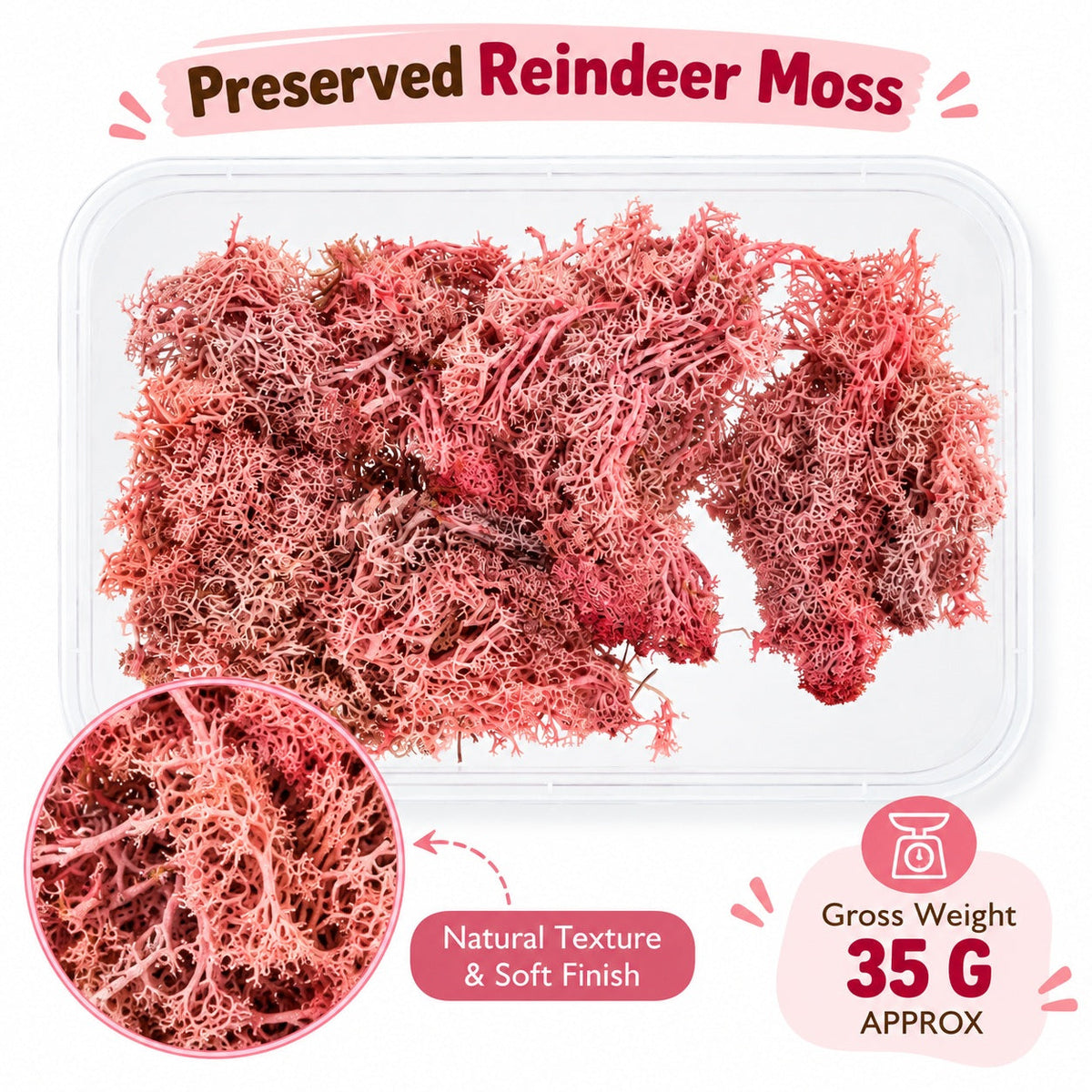 Pink Preserved Reindeer Moss for Resin Art, Terrarium Decoration, Miniature Gardens & DIY Crafts