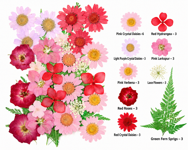 30 In 1 Pressed Flowers Fl097