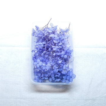JUST CRAFT IT DRY PRESSED FLOWER Blue Hydrangea Dry Flower