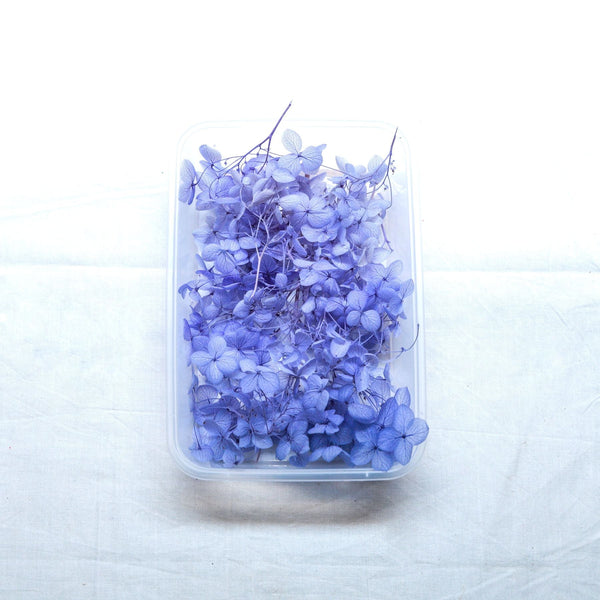 JUST CRAFT IT DRY PRESSED FLOWER Blue Hydrangea Dry Flower