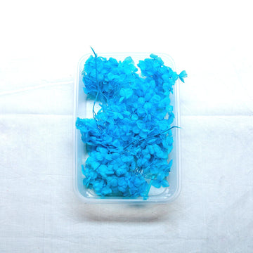 JUST CRAFT IT DRY PRESSED FLOWER L.Firozi Hydrangea Dry Flower