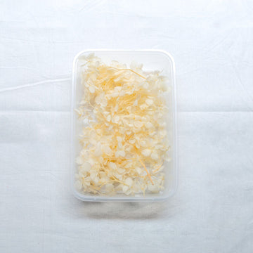JUST CRAFT IT DRY PRESSED FLOWER Off White Hydrangea Dry Flower