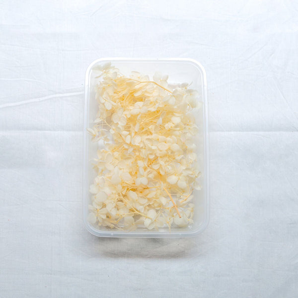 JUST CRAFT IT DRY PRESSED FLOWER Off White Hydrangea Dry Flower