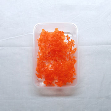 JUST CRAFT IT DRY PRESSED FLOWER Orange Hydrangea Dry Flower
