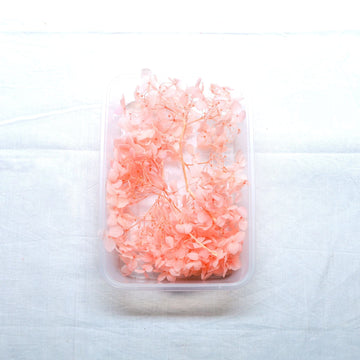 JUST CRAFT IT DRY PRESSED FLOWER Peach Hydrangea Dry Flower