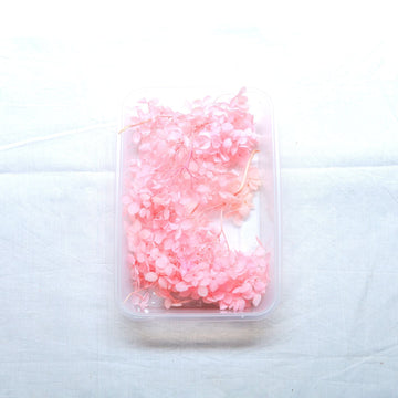 JUST CRAFT IT DRY PRESSED FLOWER Pink Hydrangea Dry Flower