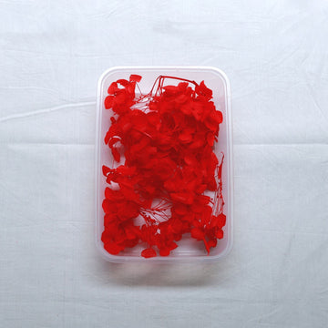 JUST CRAFT IT DRY PRESSED FLOWER Red Hydrangea Dry Flower
