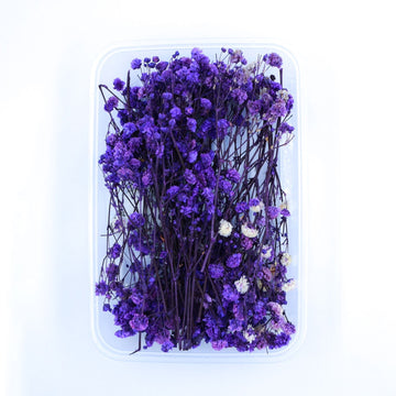 JUST CRAFT IT DRY PRESSED FLOWER Purple Baby Breath Dry Flower