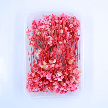 JUST CRAFT IT DRY PRESSED FLOWER Pink Baby Breath Dry Flower