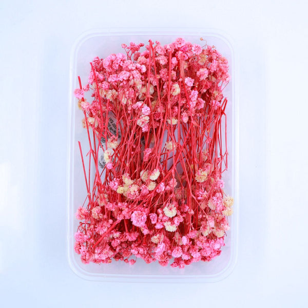 JUST CRAFT IT DRY PRESSED FLOWER Pink Baby Breath Dry Flower