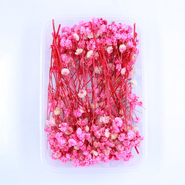 JUST CRAFT IT DRY PRESSED FLOWER Rani Baby Breath Dry Flower