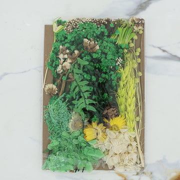 Dried Mixed Flower D02