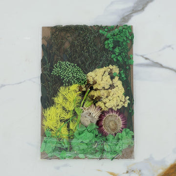 Dried Mixed Flowers D017