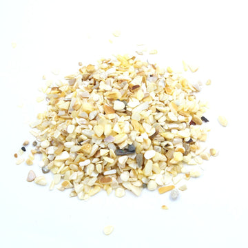Crafteria Ivory Shell Stone Granules (500gms)