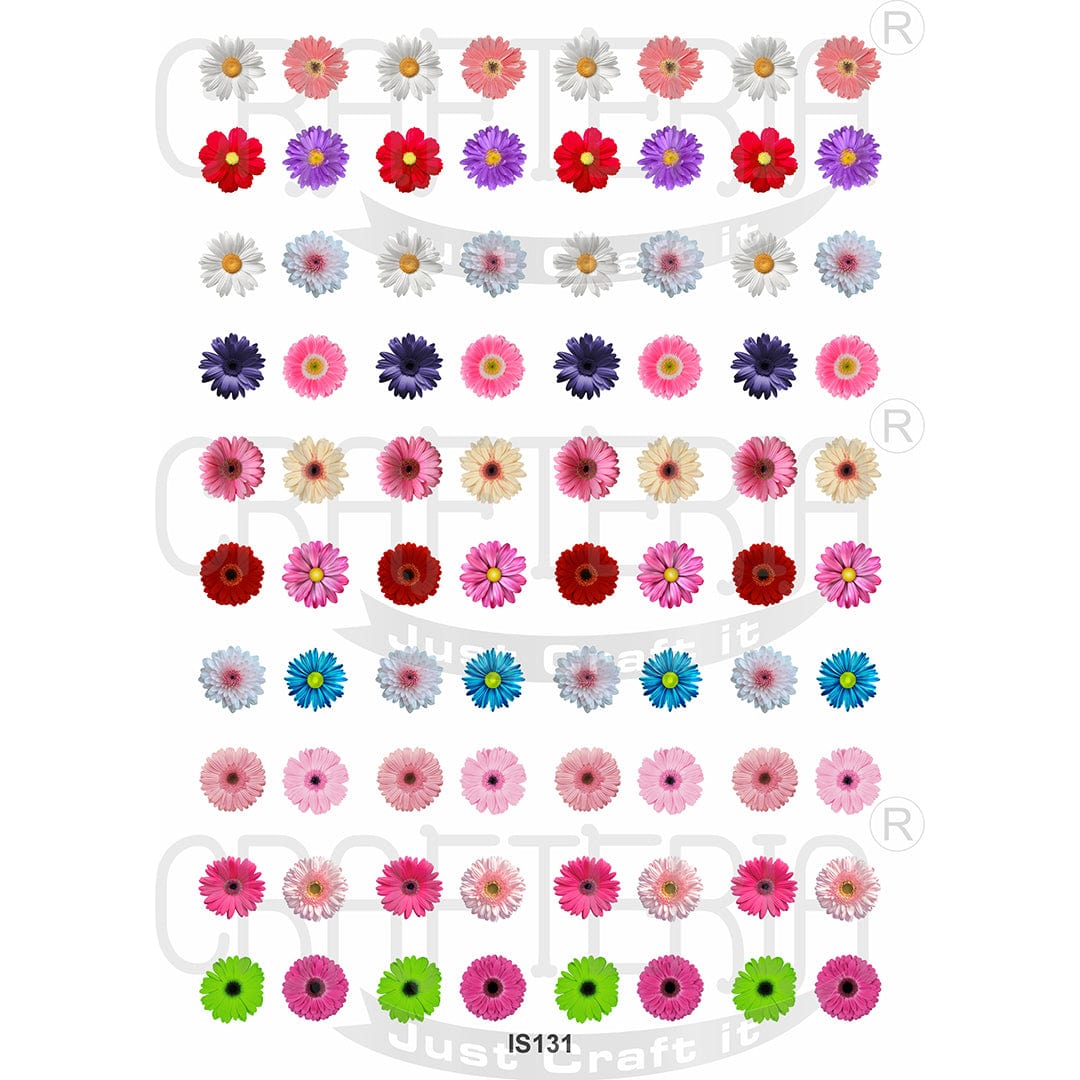 Crafteria Daisy Flower Designs Insert Sheet (Transparent Sheet) IS131