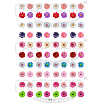Crafteria Daisy Flower Designs Insert Sheet (Transparent Sheet) IS131