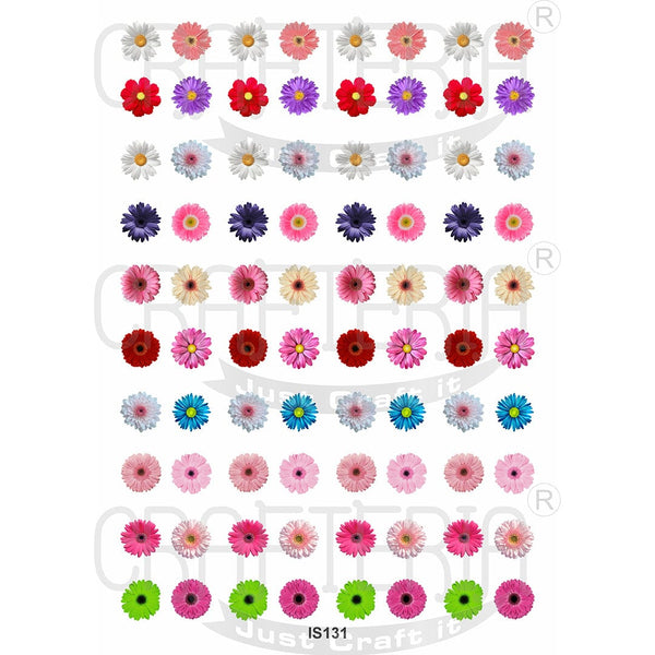 Crafteria Daisy Flower Designs Insert Sheet (Transparent Sheet) IS131
