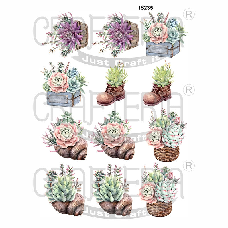 Crafteria Plant Designs Insert Sheet (Transparent Sheet) IS235
