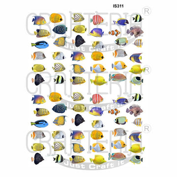 Crafteria Fish Designs Insert Sheet (Transparent Sheet) IS311