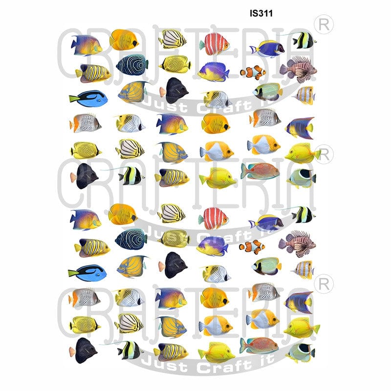Crafteria Fish Designs Insert Sheet (Transparent Sheet) IS311