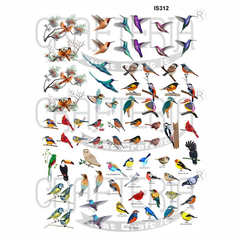 Crafteria Birds Designs Insert Sheet (Transparent Sheet) IS312