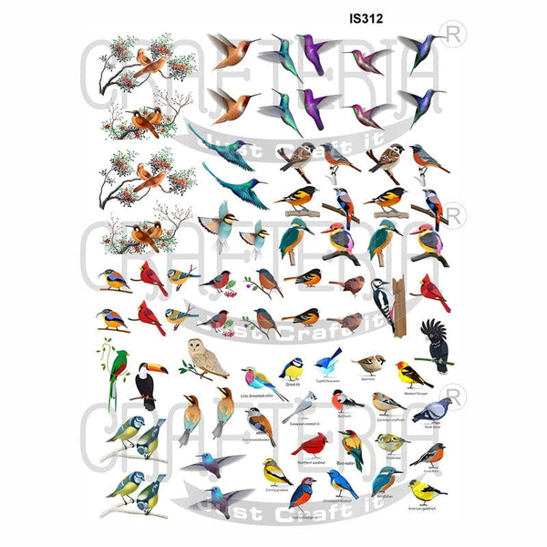 Crafteria Birds Designs Insert Sheet (Transparent Sheet) IS312